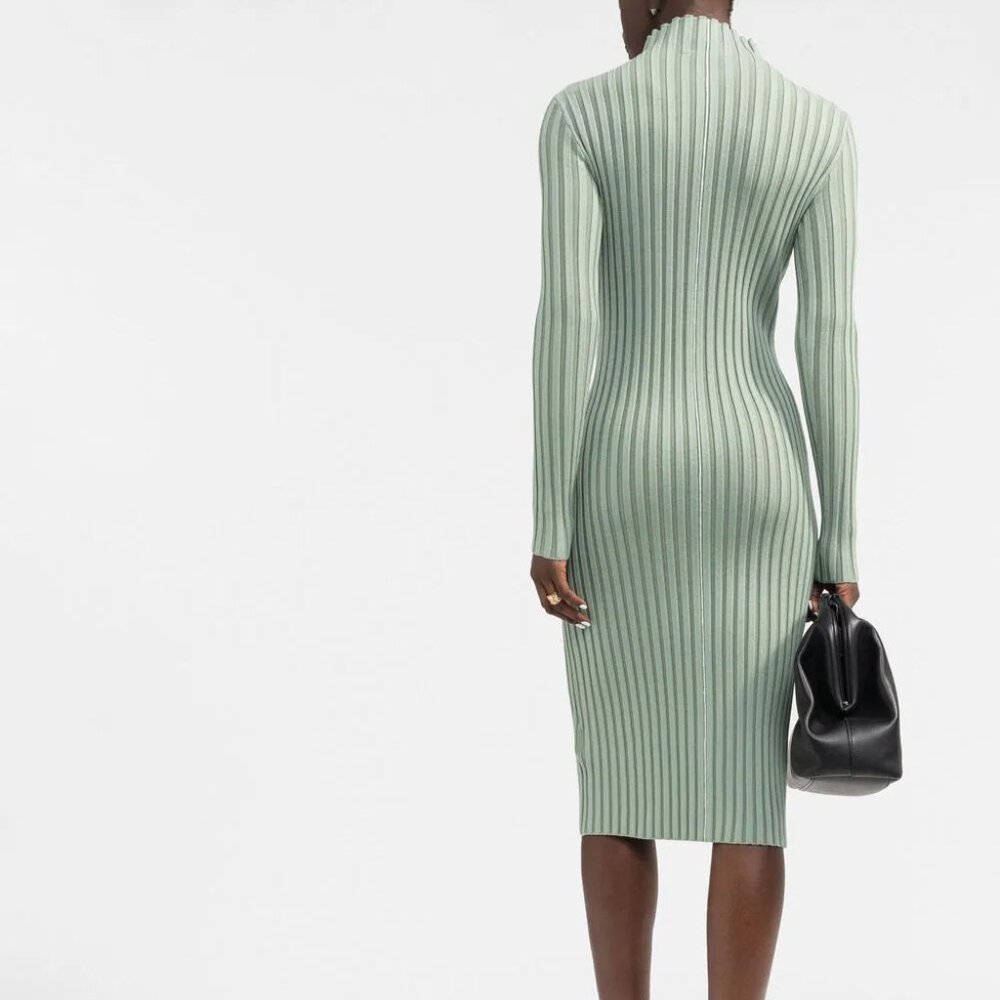 Winter Ribbed Knit Mock Neck Dress